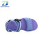 Trendy Women's Sandal That Perfectly Compliment Summer Beachwear